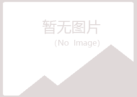 奉化女孩会计有限公司